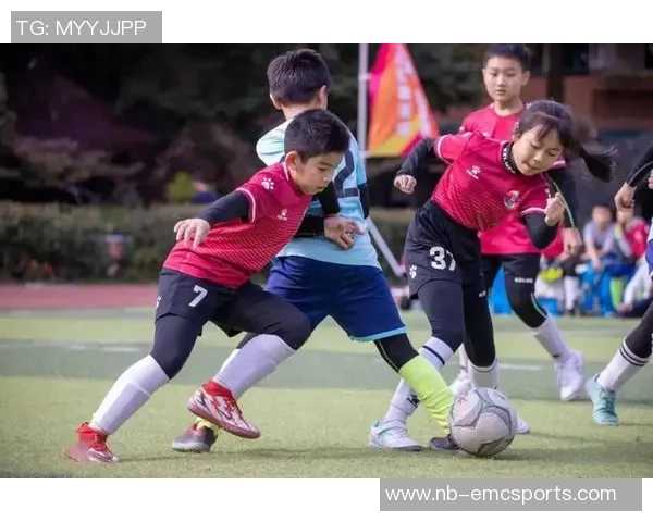 随风足球:在风中舞动的激情与梦想的追逐之旅